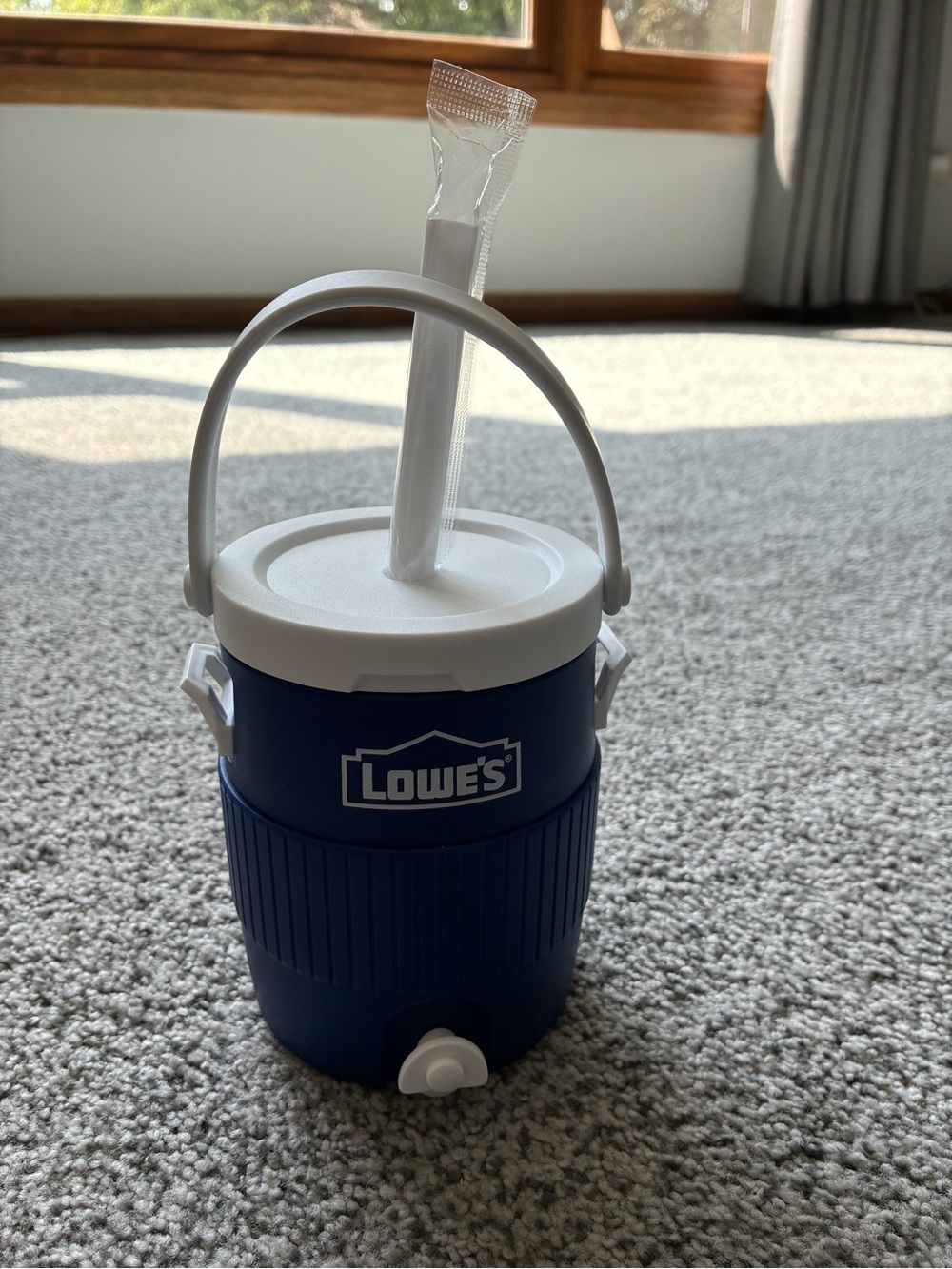 Lowe’s Mini Cooler Cup